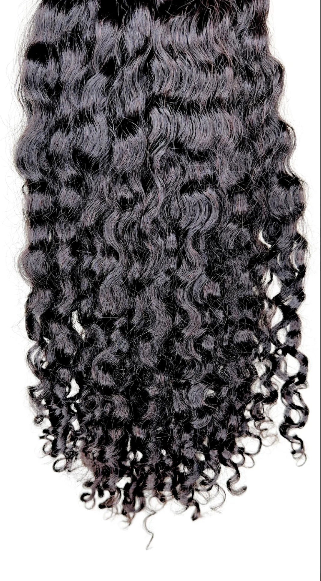 SEA Exotic Curly